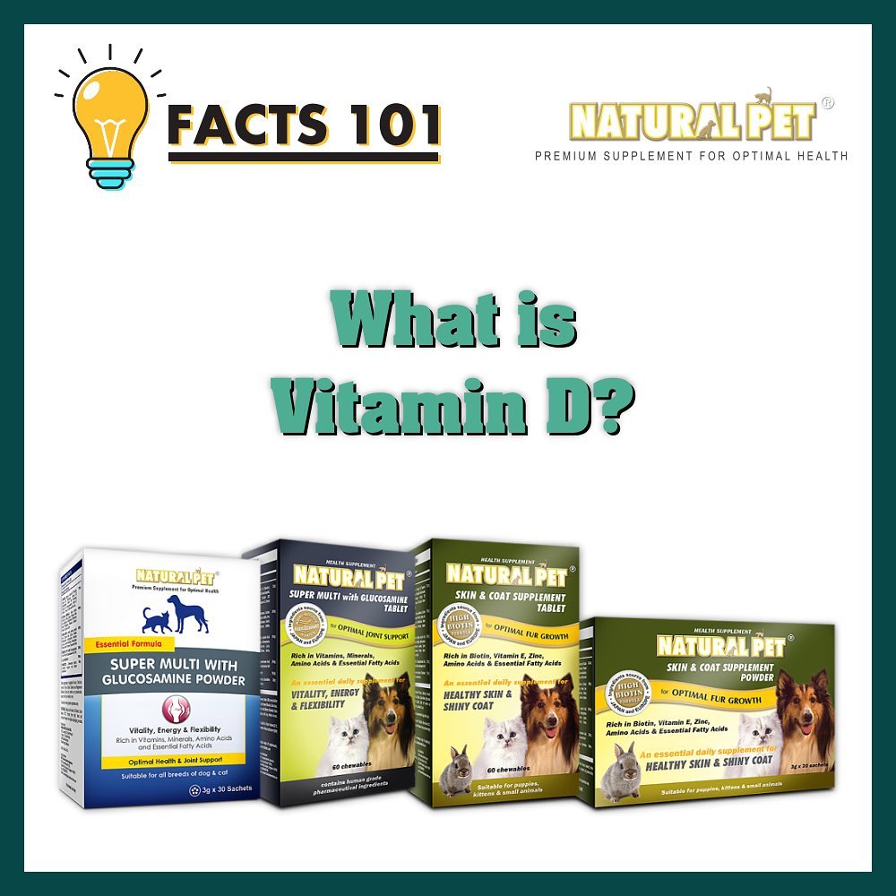 Natural Pet Supplements Singapore Vitamin D