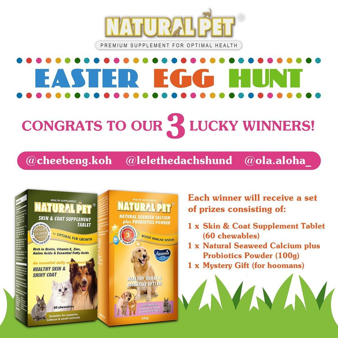 获胜者结果 - 复活节彩蛋狩猎2021新加坡宠物保健品Natural Pet