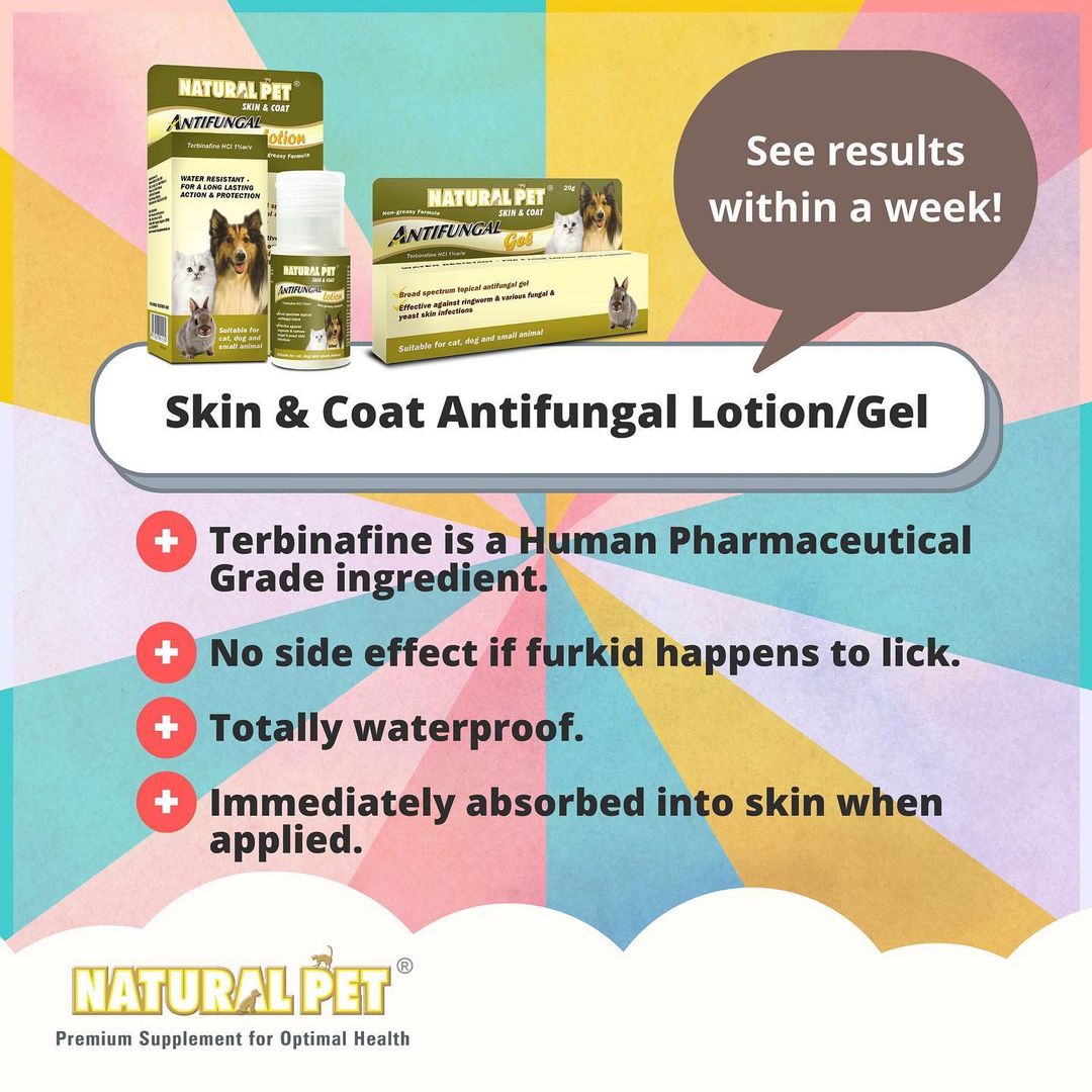 皮肤和毛发抗真菌乳液凝胶。一周内查看结果 宠物保健品Natural Pet Supplements Singapore